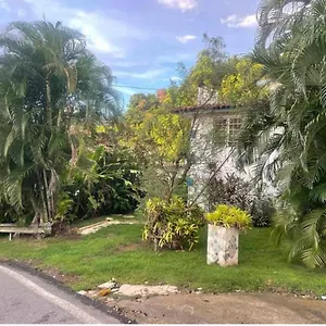 https://jungle-bungalow-studio-in.comcaribbean.com